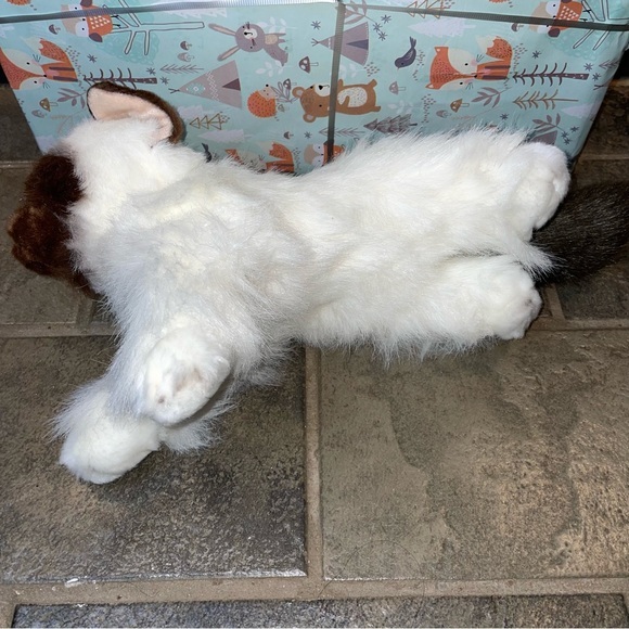 Aurora - Flopsie Bella Birman Cat plush blue‎ eyes stuff animal white brown - Picture 5 of 9